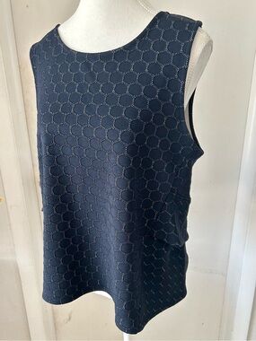 Pair of Ann Taylor Navy and Ivory Textured Circle Sheath Tops